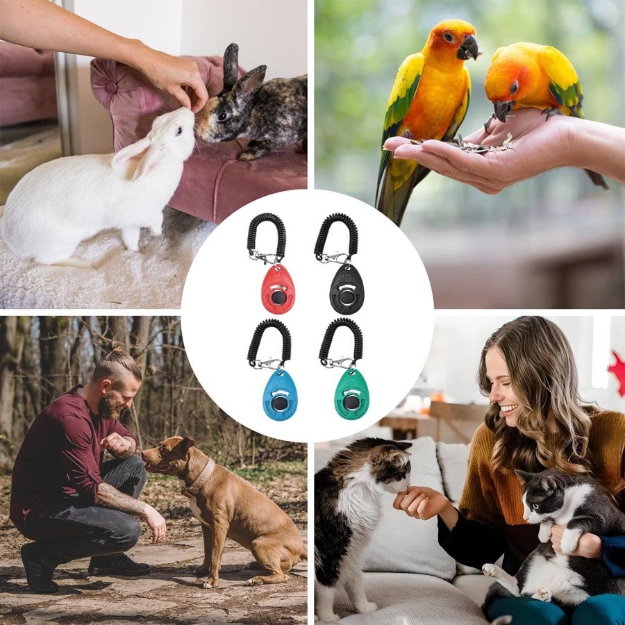 Ver imagen 6 de 6: El clicker usado con otros animales: conejo, loros, perro adulto y gato, alrededor de los cuatro colores del pack