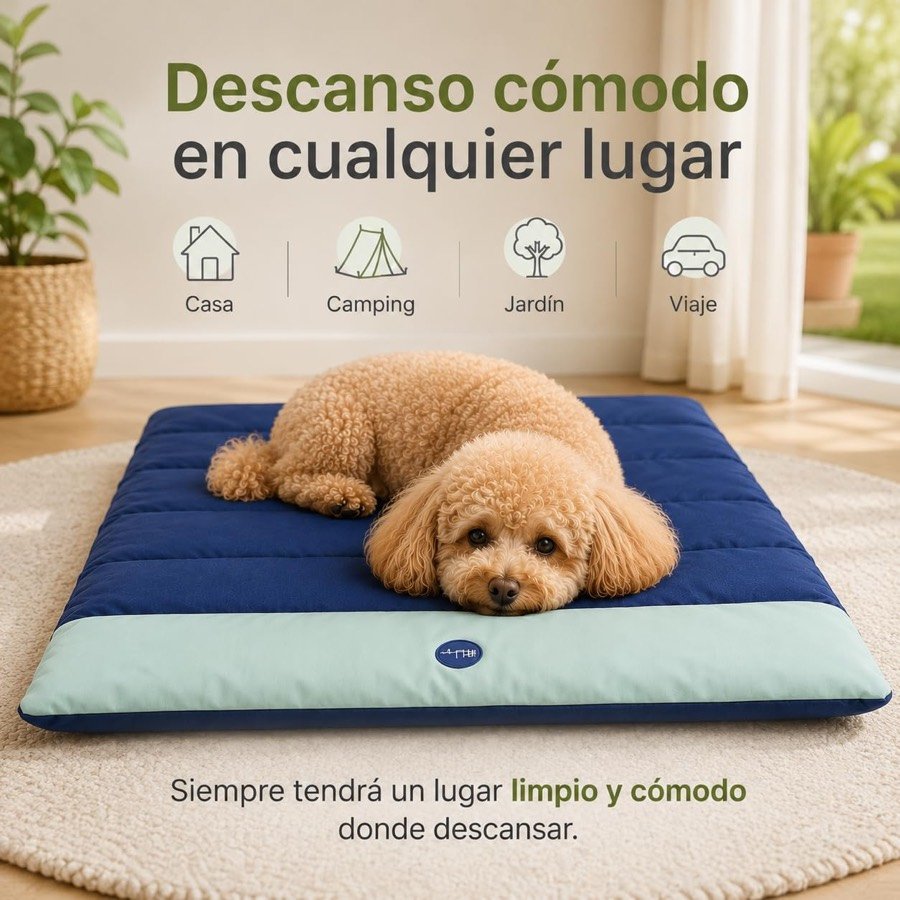 Ver imagen 2 de 6: Caniche tumbado en la colchoneta Patihogar con iconos de casa, camping, jardín y viaje