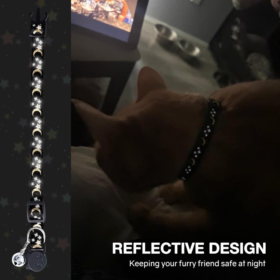 Ver imagen 6 de 6: El collar negro brillando en la oscuridad por su bordado reflectante y un gato de noche con el collar iluminado