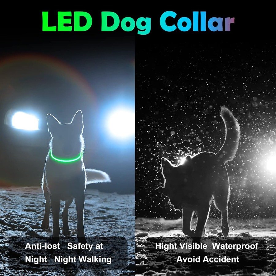 Ver imagen 6 de 6: Comparación nocturna de un perro con y sin el collar LED encendido