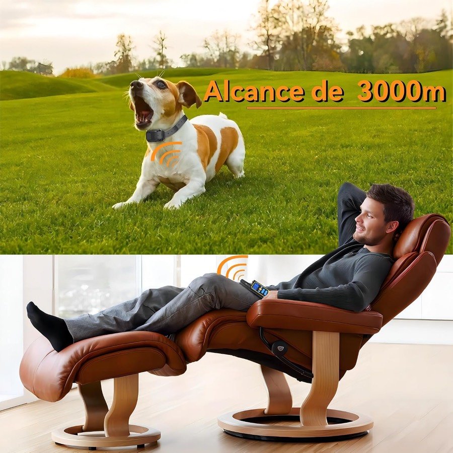 Ver imagen 4 de 6: Perro con el collar Meloive en un prado y su dueño en un sillón, ilustrando el alcance declarado de 3.000 metros