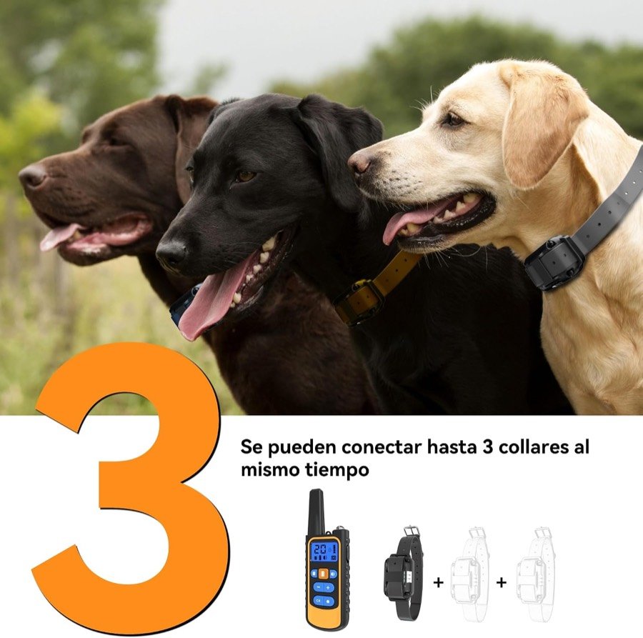 Ver imagen 6 de 6: Tres perros con collar y el aviso de que un mismo mando Meloive admite hasta tres receptores