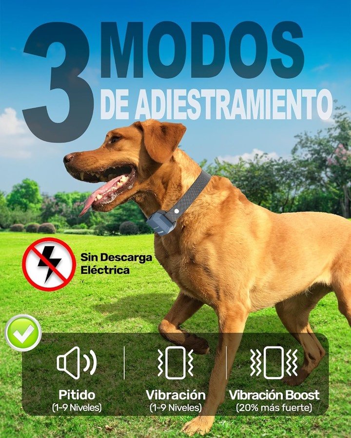 Ver imagen 2 de 6: Perro con el collar STAALGUARD y sus tres modos sin descarga eléctrica: pitido, vibración y vibración boost