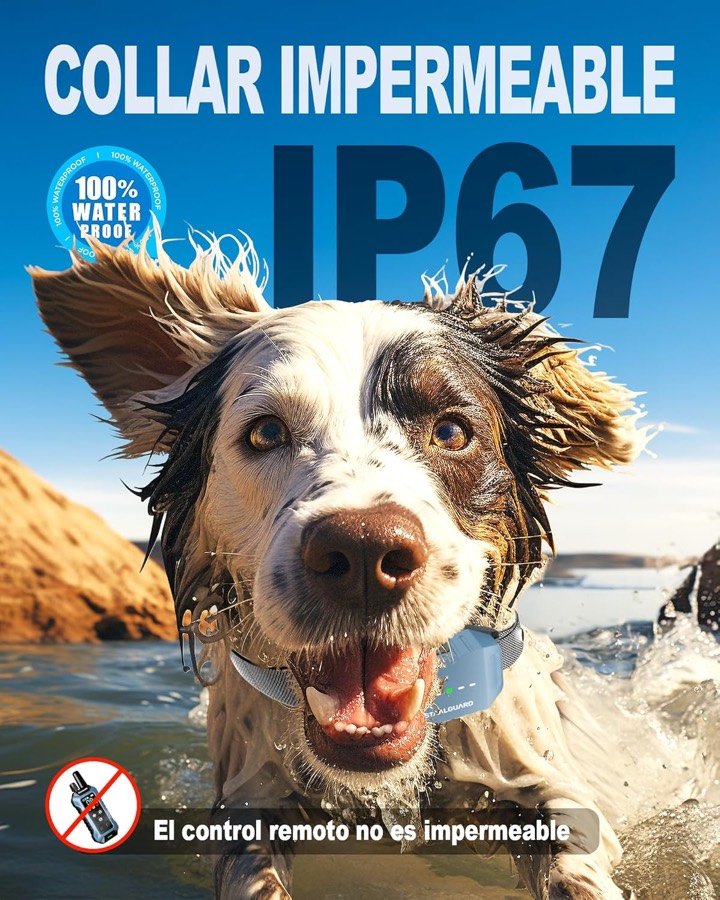 Ver imagen 5 de 6: Perro mojado con el collar STAALGUARD resistente al agua IP67 y el aviso de que el mando no es impermeable