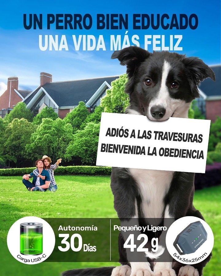Ver imagen 6 de 6: Perro con el collar STAALGUARD y los datos de 30 días de autonomía con carga USB-C y receptor de 42 gramos