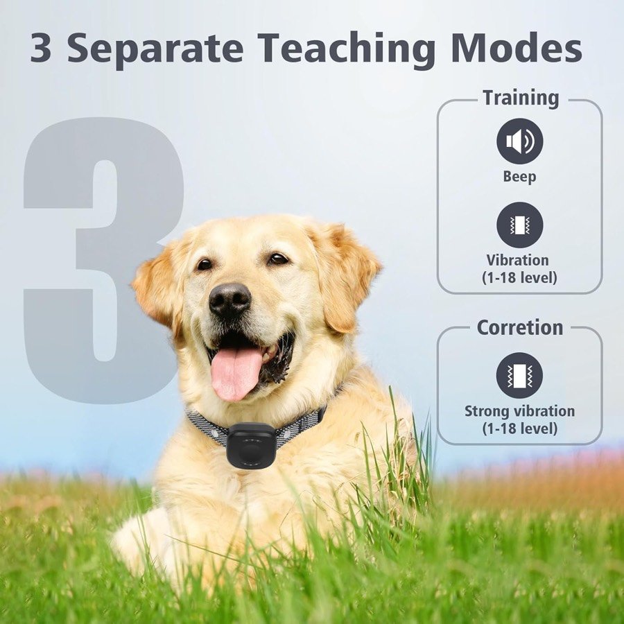 Ver imagen 3 de 6: Perro con el collar Wodondog y sus tres modos: pitido, vibración y vibración fuerte, de 1 a 18 niveles