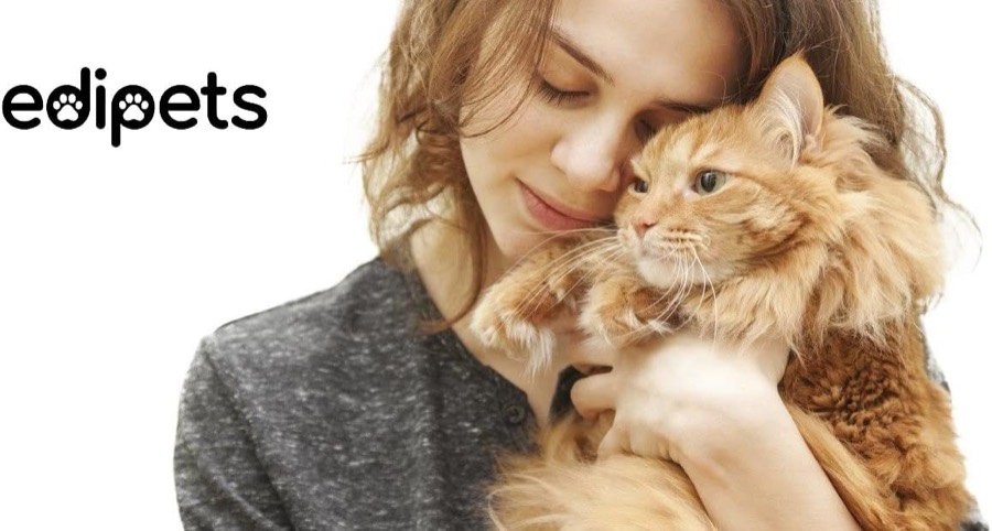 Ver imagen 6 de 6: Imagen de marca de Edipets con una persona sosteniendo a un gato