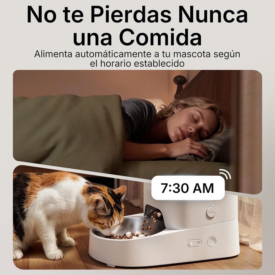 Ver imagen 2 de 6: Un gato come del comedero PETKIT a las 7:30 de la mañana según el reclamo del fabricante