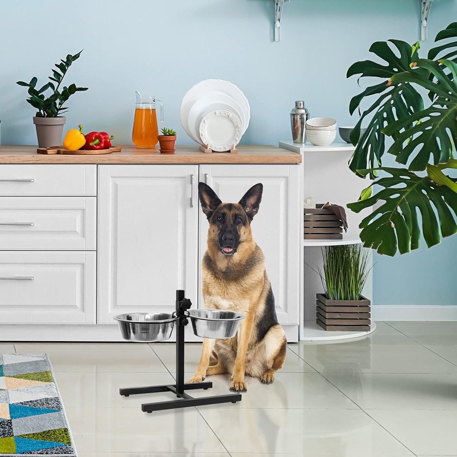 Ver imagen 2 de 6: Pastor alemán junto al comedero elevado Relaxdays en una cocina