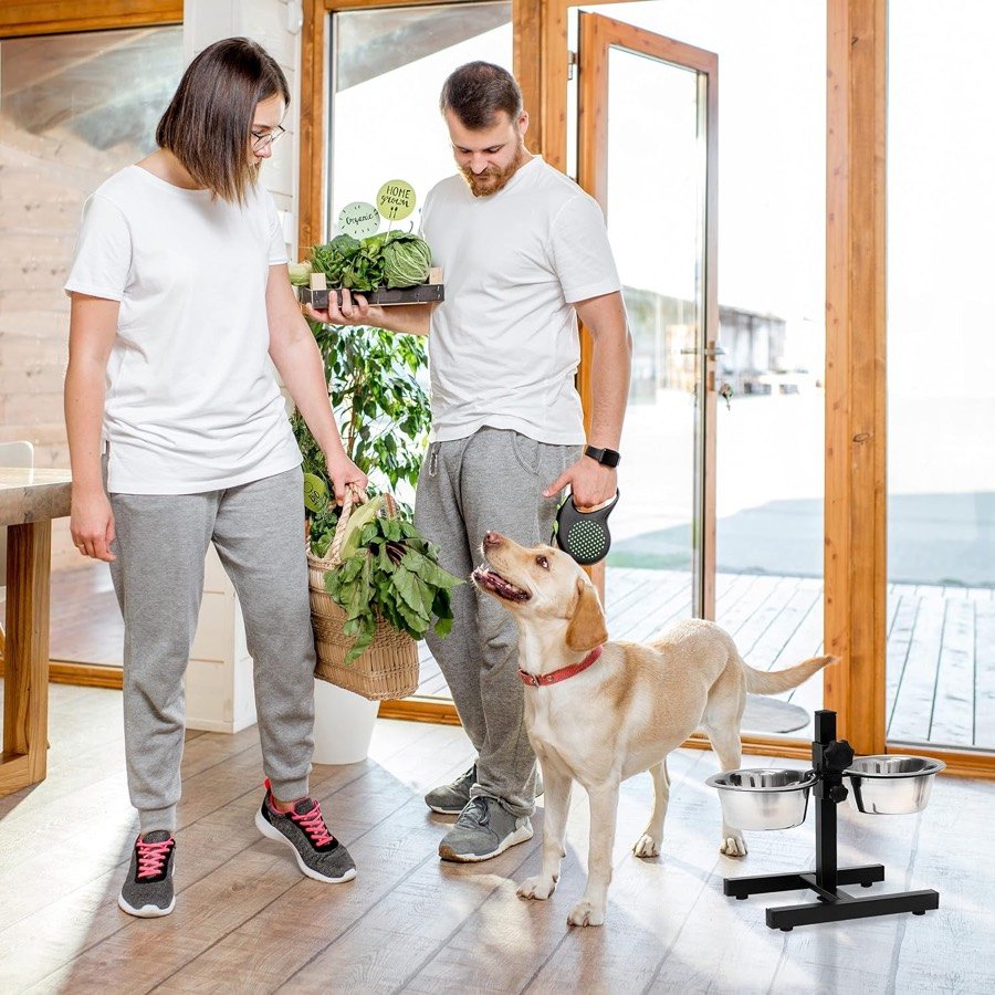 Ver imagen 3 de 6: El comedero elevado en un salón, con una pareja y un labrador al fondo