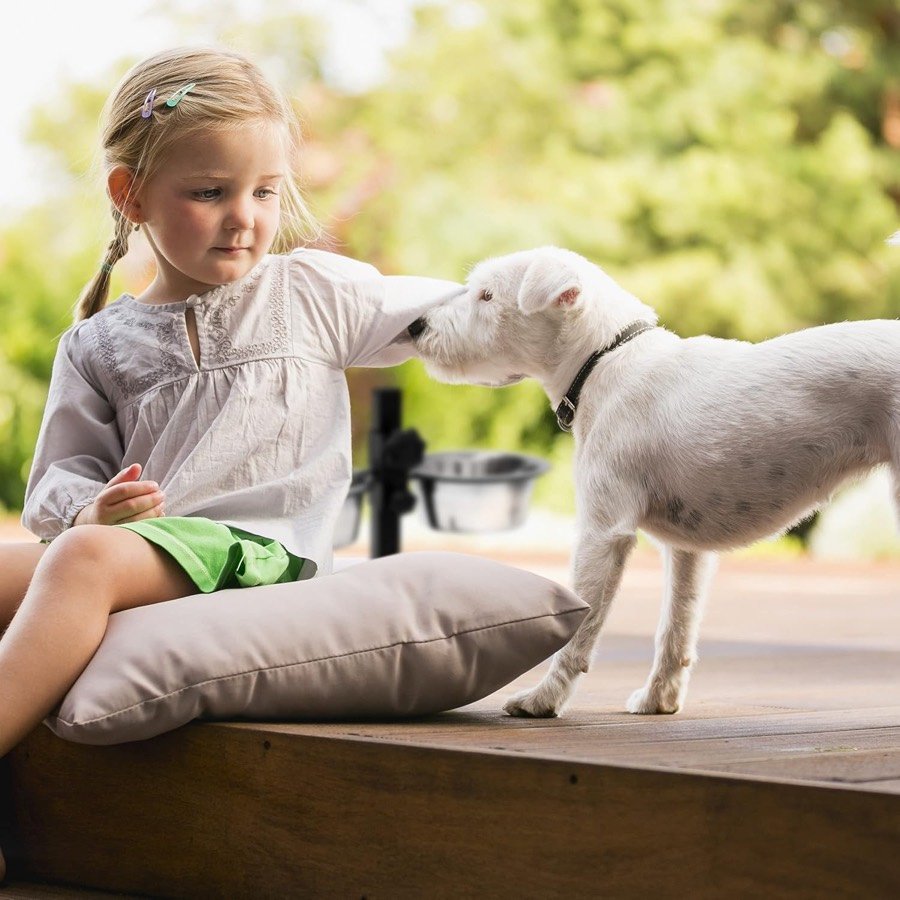 Ver imagen 5 de 6: Una niña y un perro blanco junto al comedero elevado en una terraza