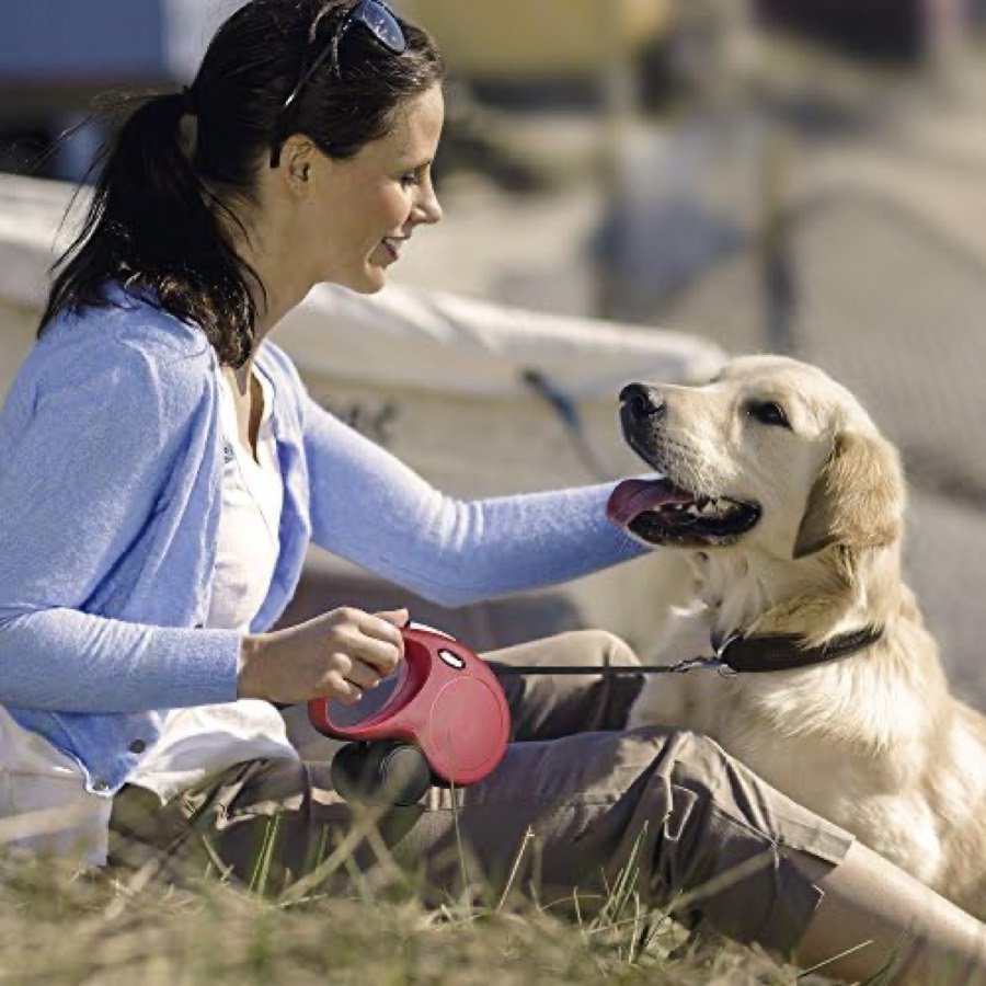 Ver imagen 3 de 3: Mujer sentada en la hierba junto a un golden retriever, sujetando una correa extensible flexi