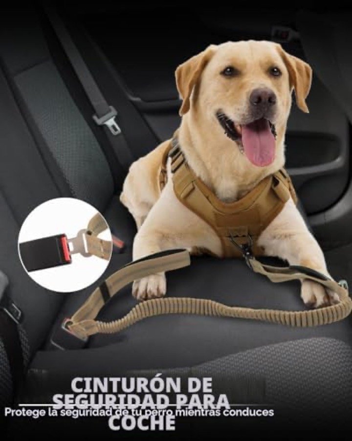 Ver imagen 6 de 6: Hebilla de la correa Joytale enganchada al cinturón de seguridad del coche