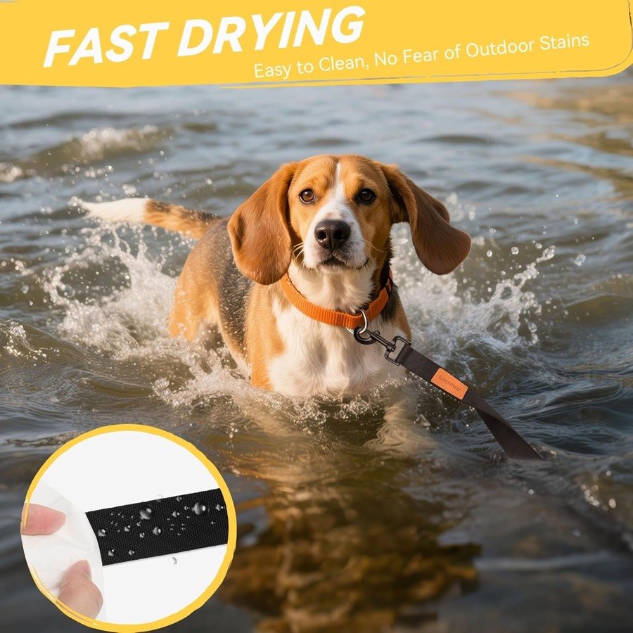 Ver imagen 4 de 6: Beagle saliendo del agua con la correa larga, junto a un detalle de la cinta mojada que escurre