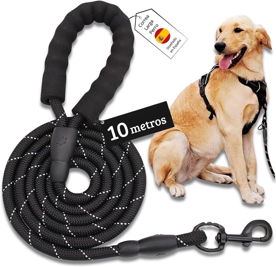 Correa larga Mablik negra enrollada, con el asa acolchada y el mosquetón, junto a un golden retriever sentado