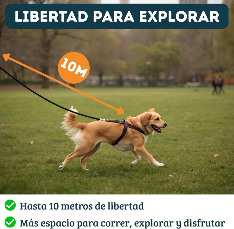 Ver imagen 2 de 6: Perro dorado corriendo por un prado con la correa larga de 10 metros extendida tras él