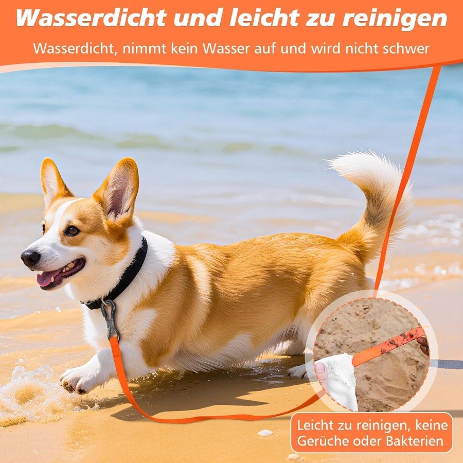 Ver imagen 5 de 6: Corgi corriendo por la orilla con la correa XBEN naranja, junto a un detalle del PVC limpiándose de barro
