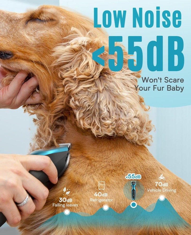 Ver imagen 5 de 6: Perro de pelo rizado durante el corte y gráfico que sitúa el oneisall DTJ por debajo de 55 decibelios
