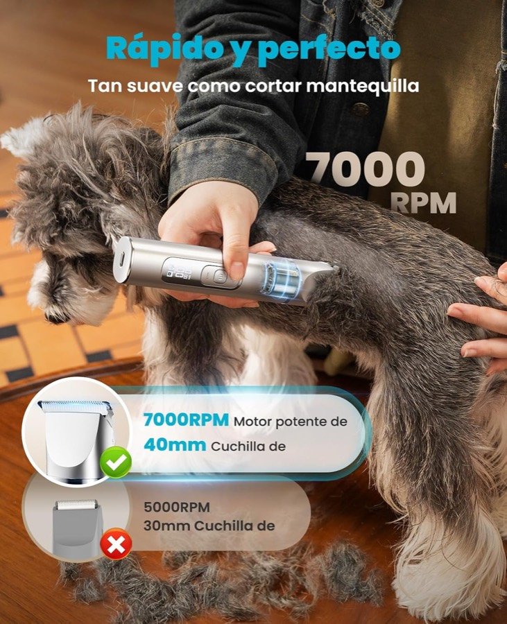 Ver imagen 3 de 6: Cortapelos oneisall FC08 recortando a un perro de pelo rizado, con su motor de 7.000 rpm y cuchilla de 40 mm