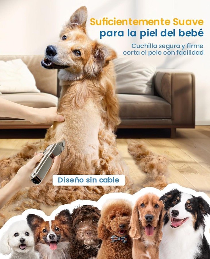 Ver imagen 4 de 6: Perro mientras le cortan el pelo con el oneisall Premium inalámbrico, con varias razas de pelo largo
