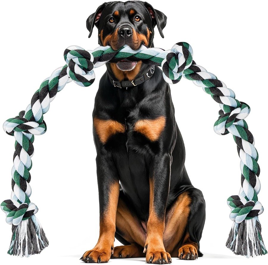 Rottweiler sentado sujetando con la boca la cuerda Ycozy blanca, negra y verde, con los extremos deshilachados