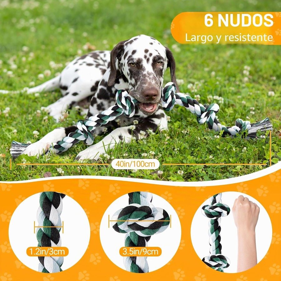 Ver imagen 3 de 6: Dálmata tumbado en el césped junto a la cuerda de 100 cm, con medidas de 3 cm de grosor y nudos de 9 cm