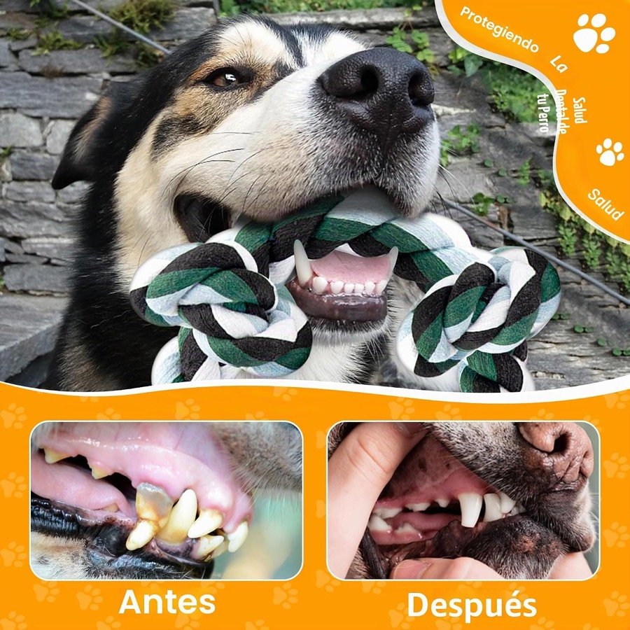 Ver imagen 4 de 6: Perro mordiendo la cuerda junto a una comparación de dientes antes y después que propone el fabricante