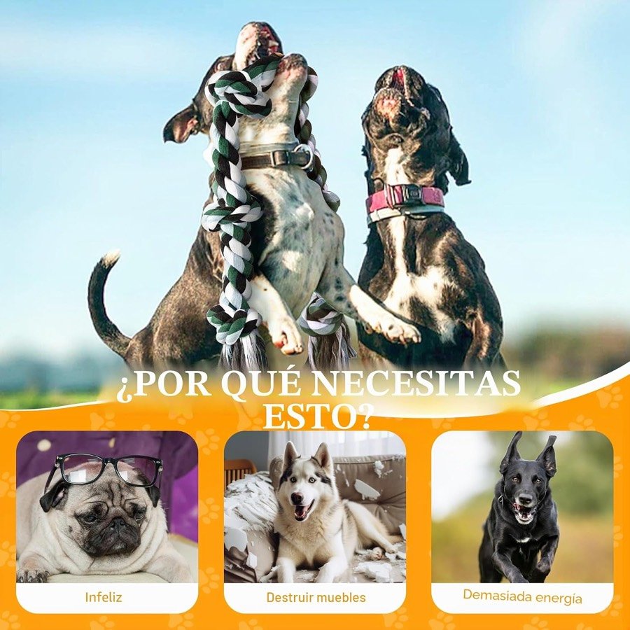 Ver imagen 5 de 6: Dos perros jugando a tirar de la cuerda, con viñetas de perros aburridos, destructivos o con demasiada energía