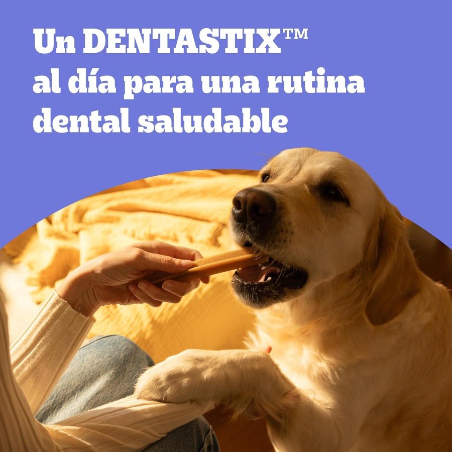 Ver imagen 3 de 6: Detalle de la textura en X del stick dental Dentastix