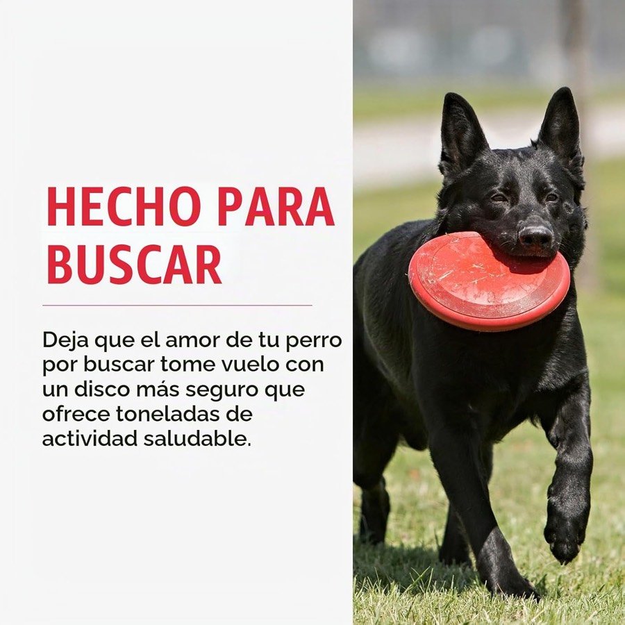 Ver imagen 4 de 6: Pastor negro con el disco en la boca, con el texto del fabricante sobre el juego de buscar