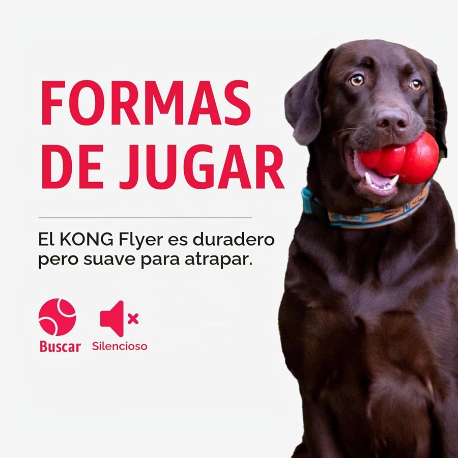 Ver imagen 6 de 6: Labrador chocolate con un KONG rojo en la boca e iconos de buscar y silencioso