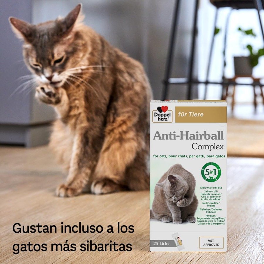 Ver imagen 3 de 6: Gato atigrado junto a la caja de Doppelherz Anti-Hairball bajo el lema «gustan incluso a los gatos más sibaritas»