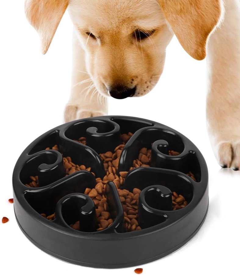 Ver imagen 5 de 6: Cachorro de labrador comiendo del comedero antivoracidad