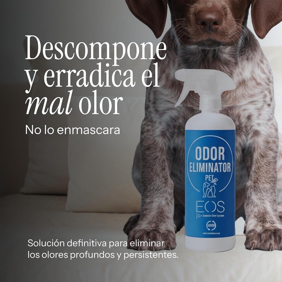 Ver imagen 2 de 6: Perro tumbado en un sofá junto al eliminador de olores EOS, que según el fabricante descompone el olor en lugar de enmascararlo