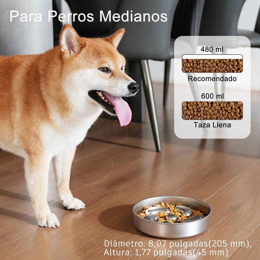 Ver imagen 2 de 6: Un shiba inu junto al comedero, con las medidas: 205 mm de diámetro y 45 mm de altura