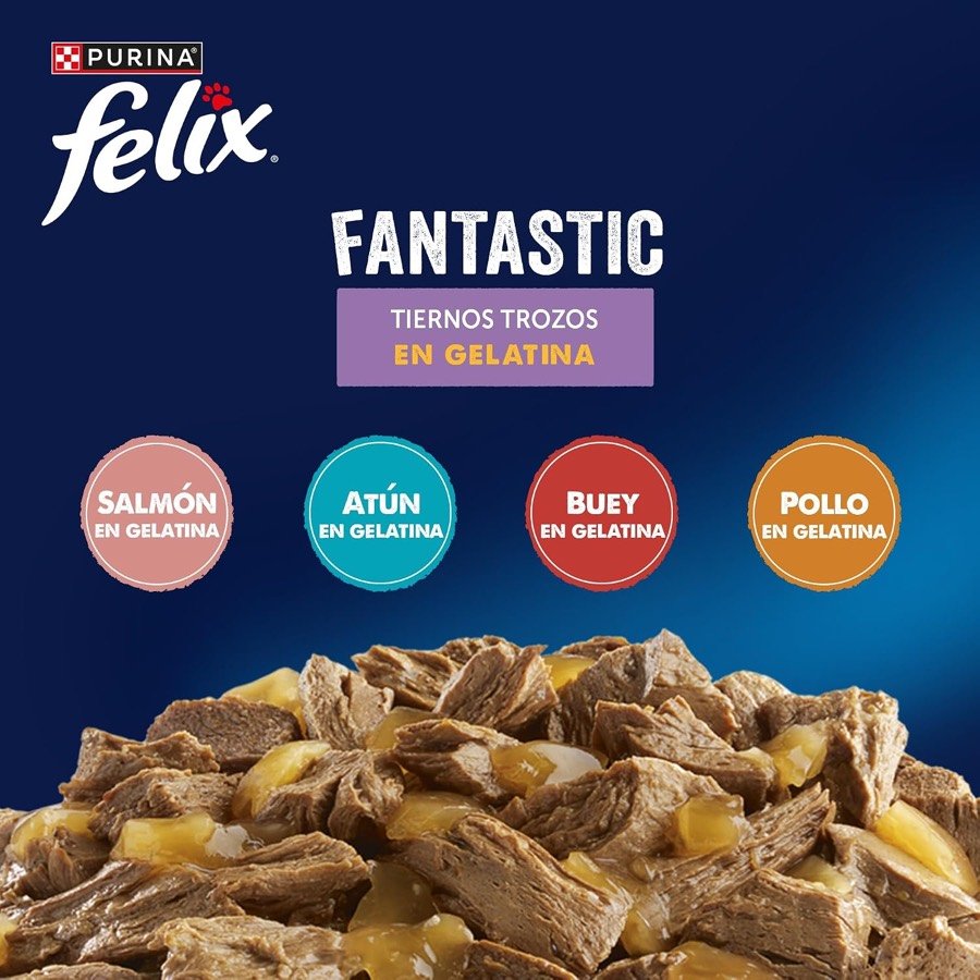 Ver imagen 2 de 6: Los cuatro sabores de Felix Fantastic en gelatina sobre una montaña de trocitos de carne