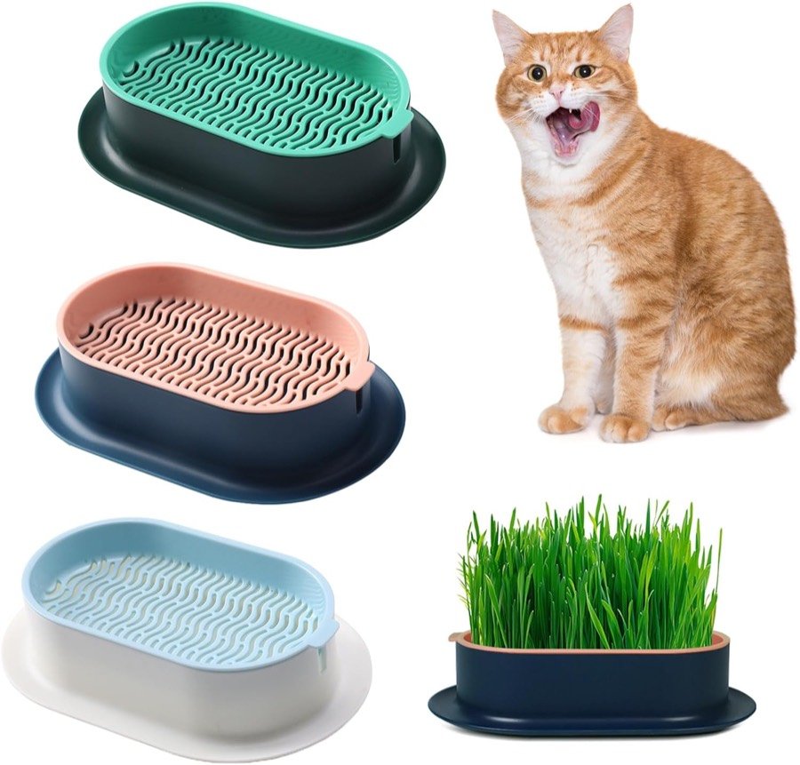 Las tres bandejas hidropónicas FENGQQKJ en verde, rosa y azul claro, y una cuarta con la hierba ya crecida junto a un gato naranja