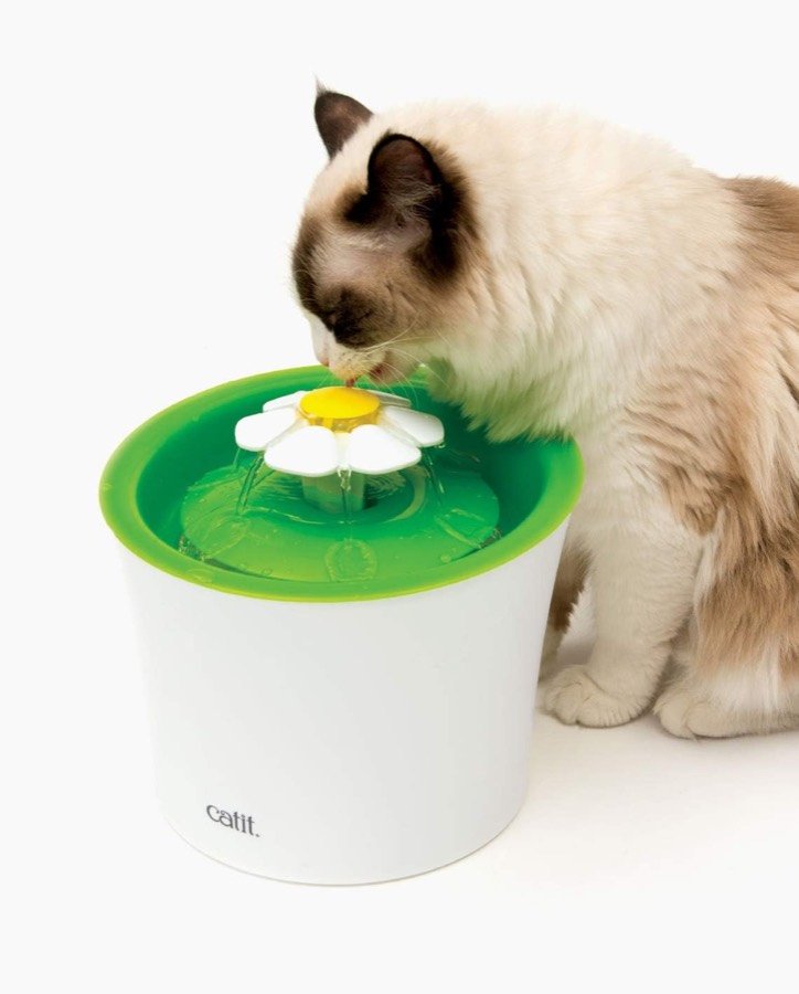 Ver imagen 2 de 6: Gato de pelo largo bebiendo del chorro de la flor de la fuente Catit Flower