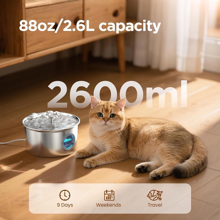 Ver imagen 2 de 6: La fuente IHOUONE junto a un gato naranja, con el reclamo de 2.600 ml de capacidad