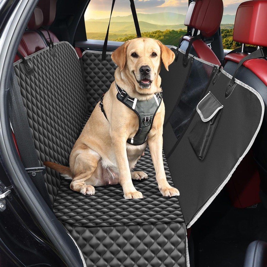 Labrador sentado con arnés en la funda KYG negra acolchada en forma de hamaca en el asiento trasero de un coche