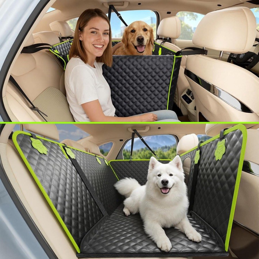 Samoyedo tumbado en la funda Pecute negra con ribete verde y base rígida, y una mujer con un golden retriever sentados detrás