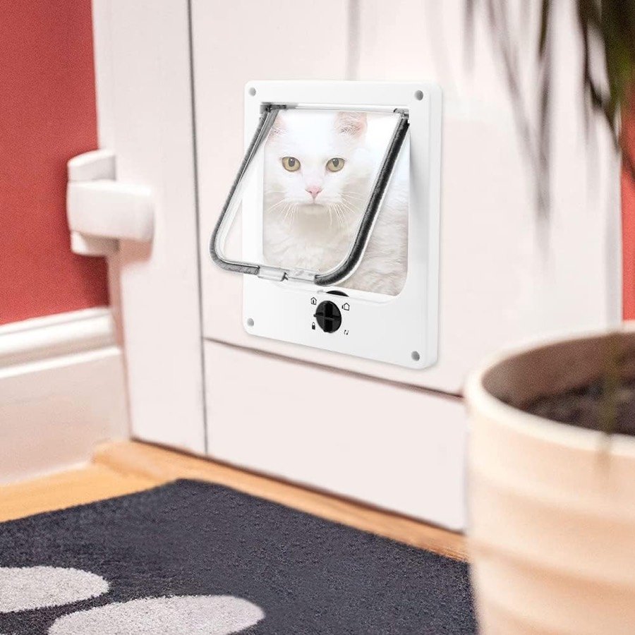 Ver imagen 6 de 6: Gato blanco asomado a la gatera Easy Joy instalada en una puerta blanca