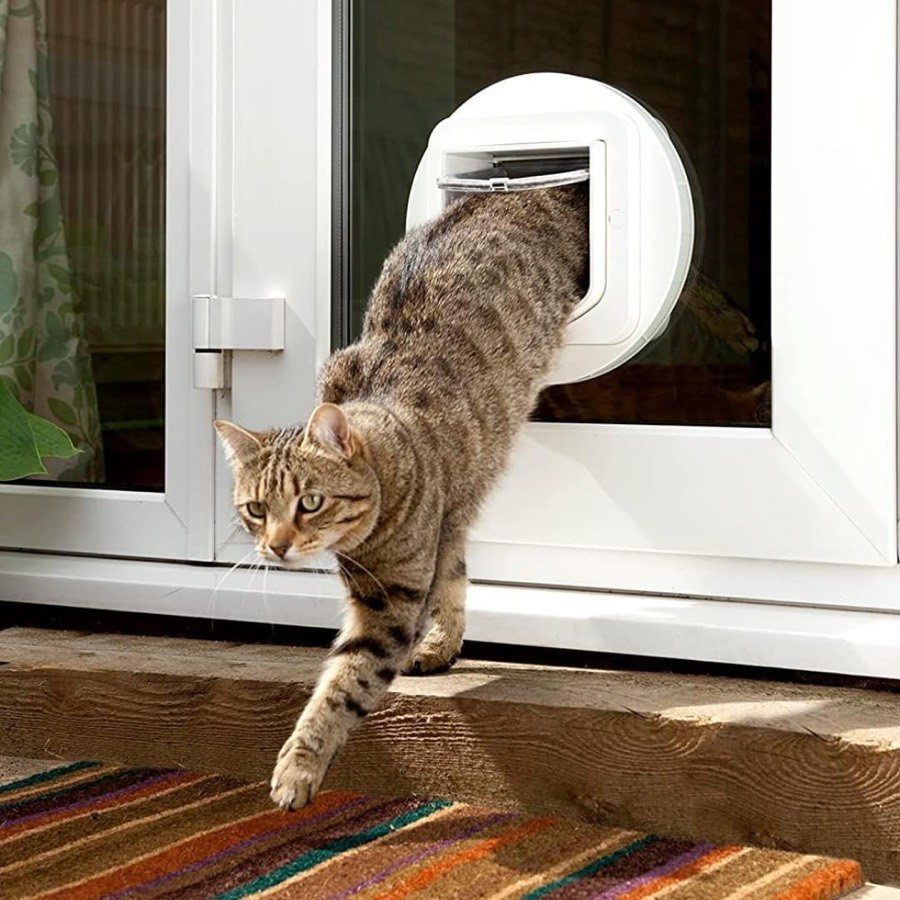 Ver imagen 2 de 6: Gato atigrado saliendo por una gatera SureFlap instalada en el cristal de una puerta