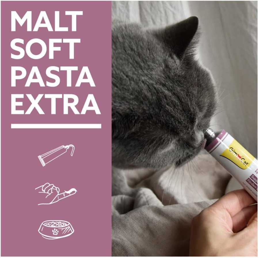 Ver imagen 5 de 6: Un gato gris lame la pasta GimCat directamente del tubo que sostiene una mano