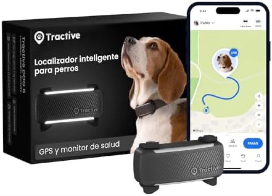 Ver imagen 2 de 6: Tractive GPS 2025 montado en el collar de un perro