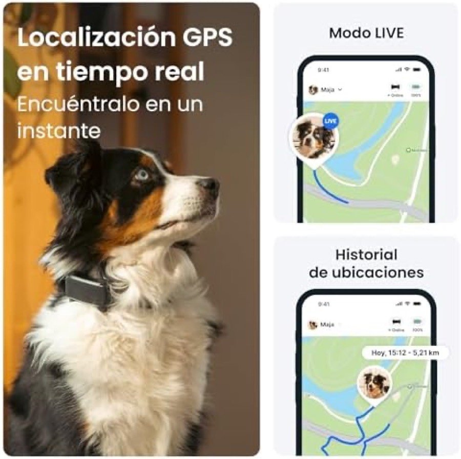 Ver imagen 3 de 6: Aplicación de Tractive mostrando la localización en tiempo real del perro sobre el mapa