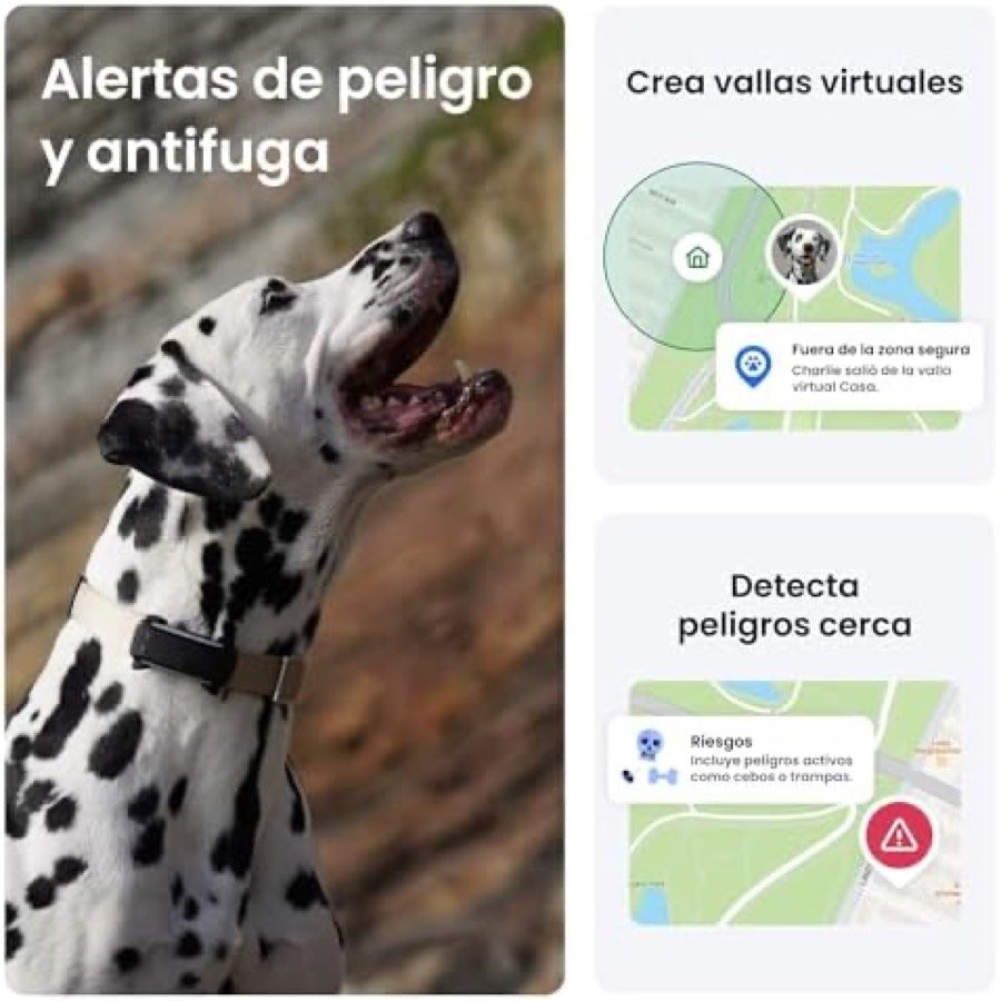 Ver imagen 5 de 6: Monitor de actividad y sueño del Tractive GPS con los datos de salud del perro