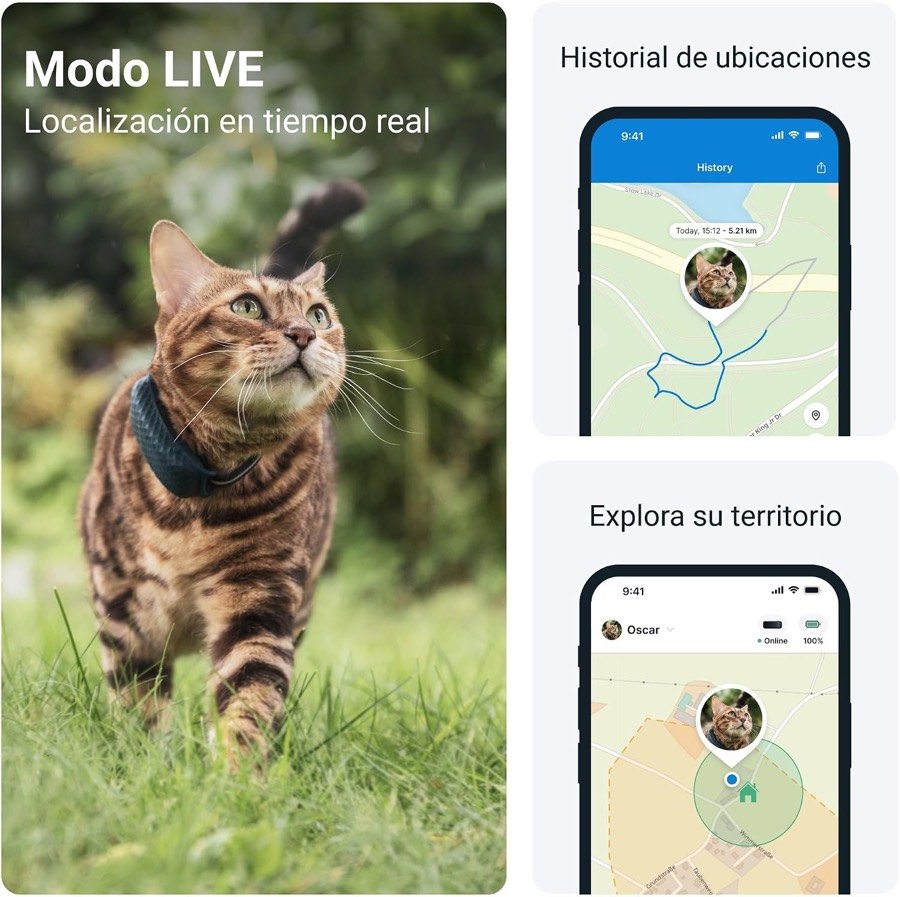 Ver imagen 2 de 6: Gato con el Tractive al cuello y pantallas del modo Live, el historial de ubicaciones y el territorio en la aplicación