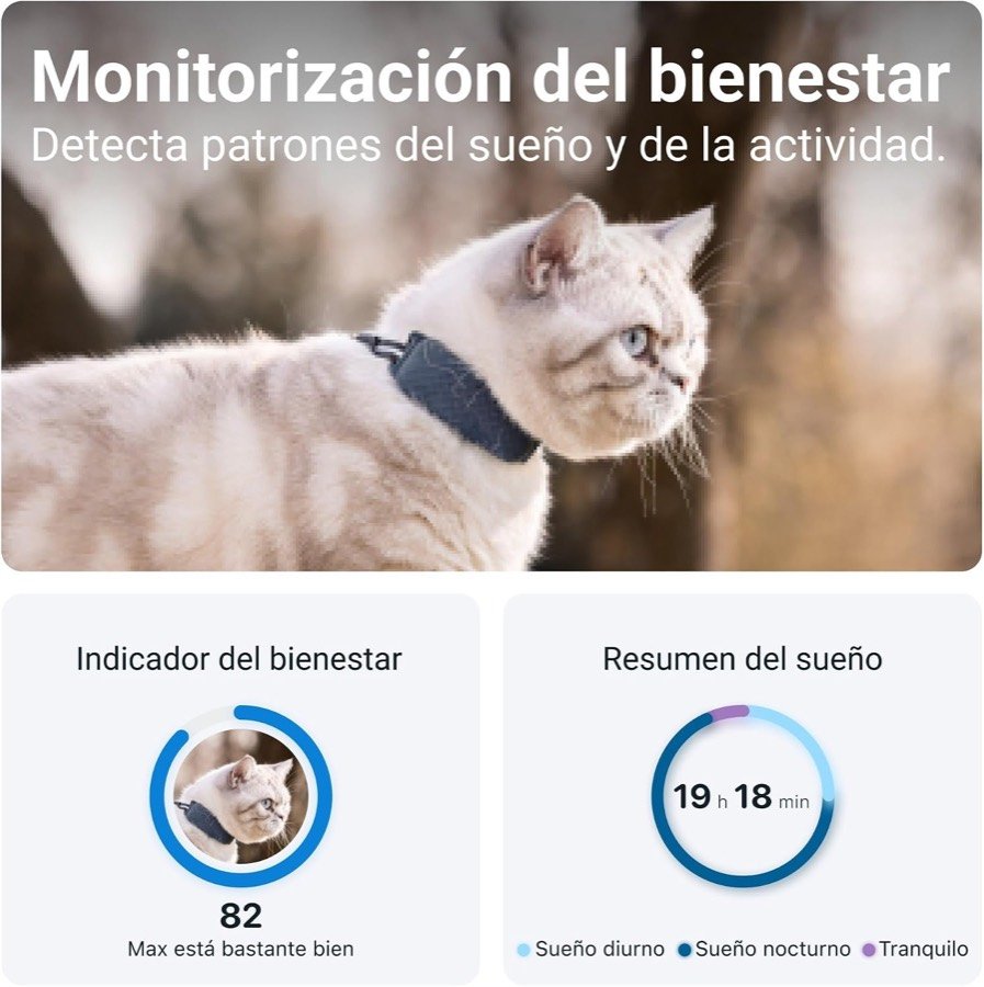 Ver imagen 3 de 6: Gato blanco con el Tractive y pantallas del indicador de bienestar y del resumen de sueño en la aplicación