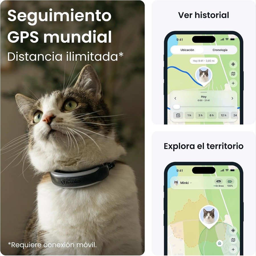 Ver imagen 2 de 6: Gato atigrado con el collar Tractive puesto y pantallas del historial de ubicaciones y del territorio explorado